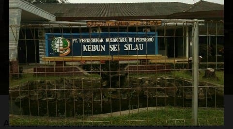 Apel Sumut Soroti Dugaan Penyelewengan Dana Perawatan di PTPN 3
