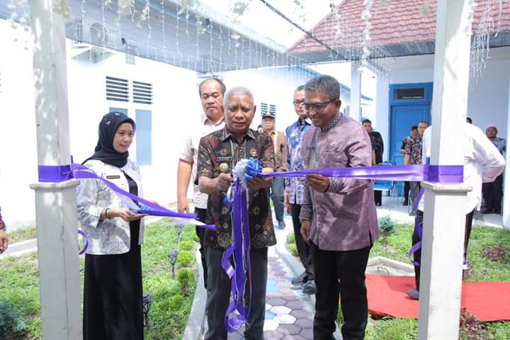 Bupati Asahan Resmikan Ruangan VIP Kebidanan RSUD H. Abdul Manan Simatupang
