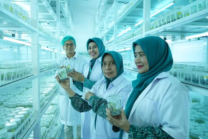 Pj Ketua TP-PKK Sumut Bersama Ketua TP PKK Asahan Kunjungi PT. Hijau Surya Biotechindo