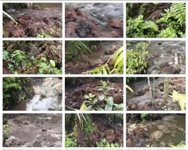 Warga Resah, PTPN IV Pasir Mandoge Diduga Buang Limbah Tandanan Kosong dan Solid secara Sembarangan
